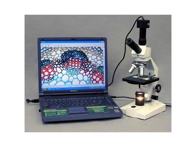 40X-400X Biological Compound Microscope with Mechanical Stage R836