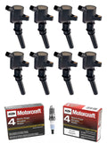 8 Ignition Coils and 8 Spark Plugs for 4.6L V8 C1946