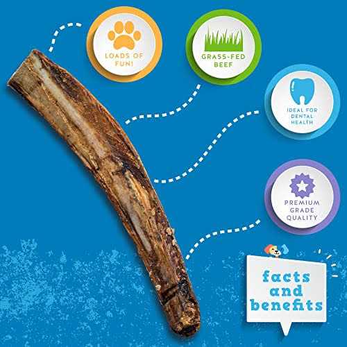 Rib Bones Beef Dog Treats U573