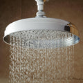 Chrome Rainfall Shower Head with Ornate Arm X88446