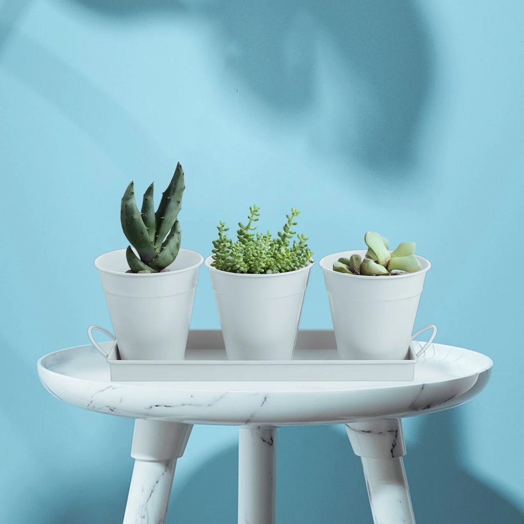 6 pcs Garden Flower Pot with 1pc Tray Q46907