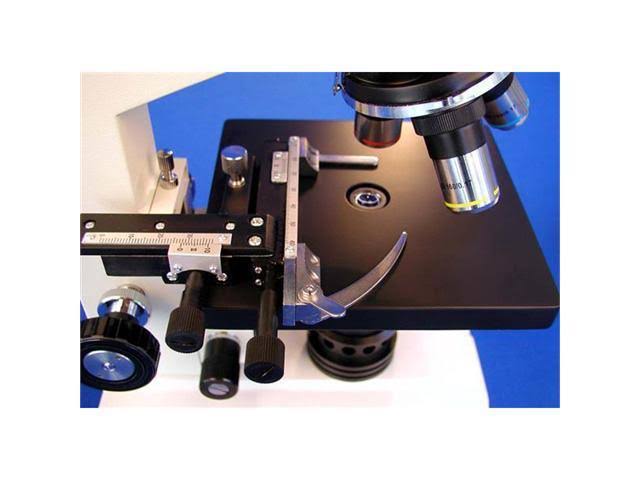 40X-400X Biological Compound Microscope with Mechanical Stage R836