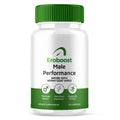 Performance Formula E9305