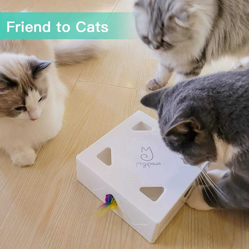 Interactive Automatic Cat Toy N8416