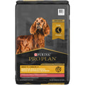 Salmon & Rice Senior Dry Dog Food C757972