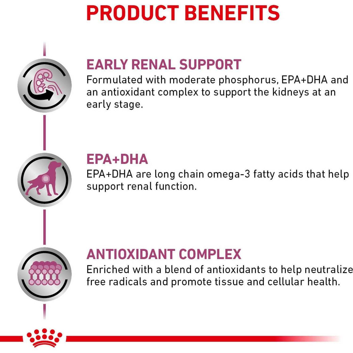 Renal Support Dry Dog Food W7185