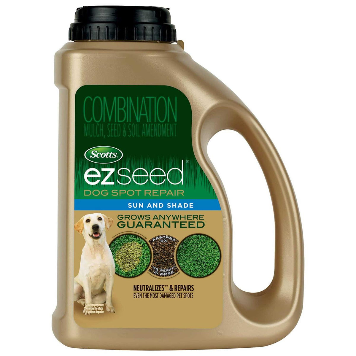 Dog Spot Repair I78439