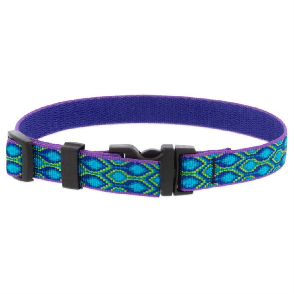 Dog Collar X9933
