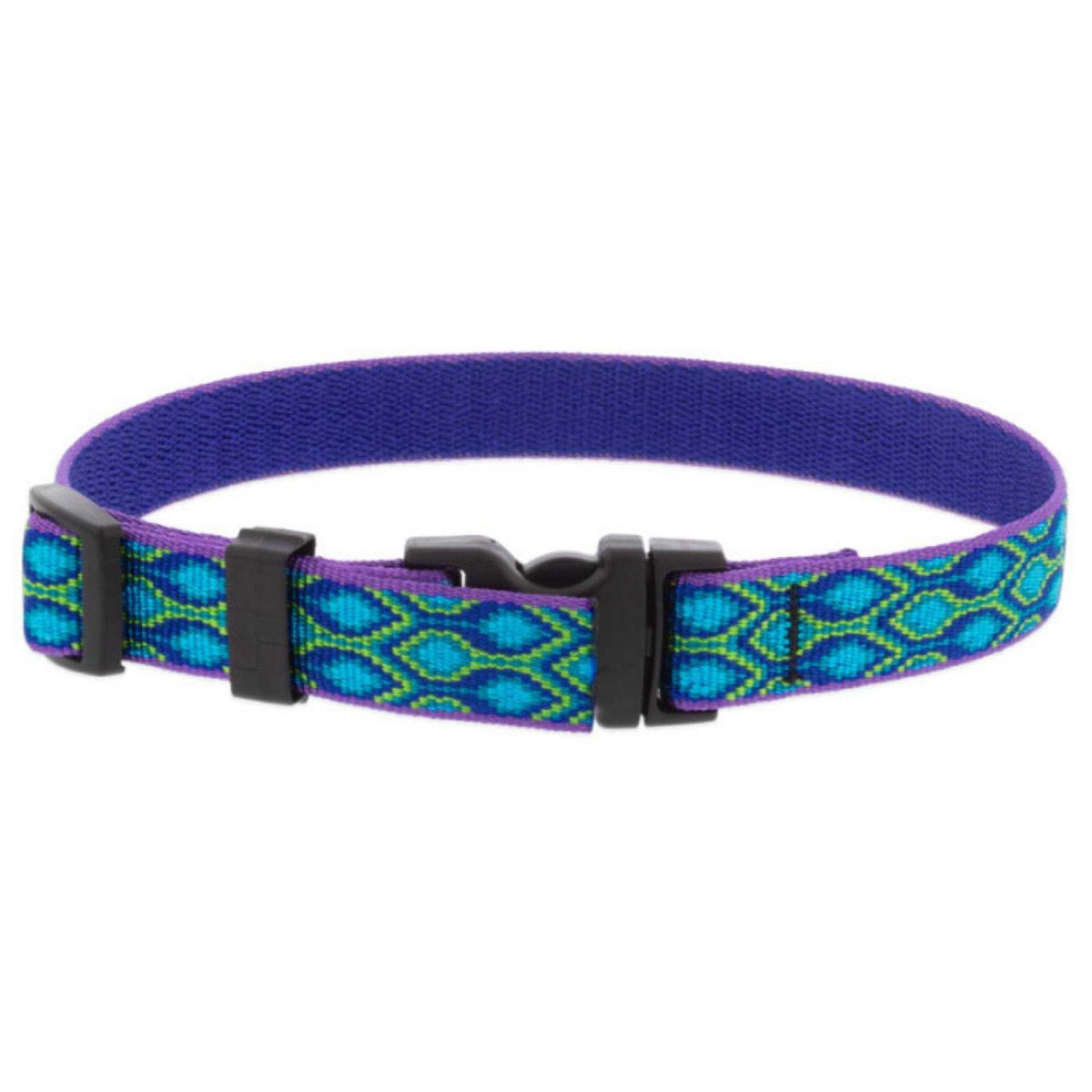 Dog Collar X9933