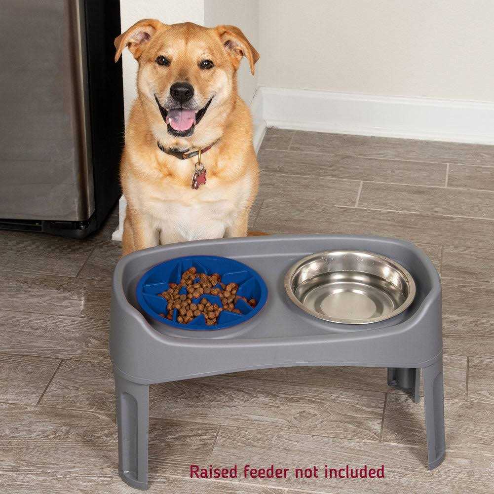 Slow Feeder Dog Bowl with Feeder Holes H73474