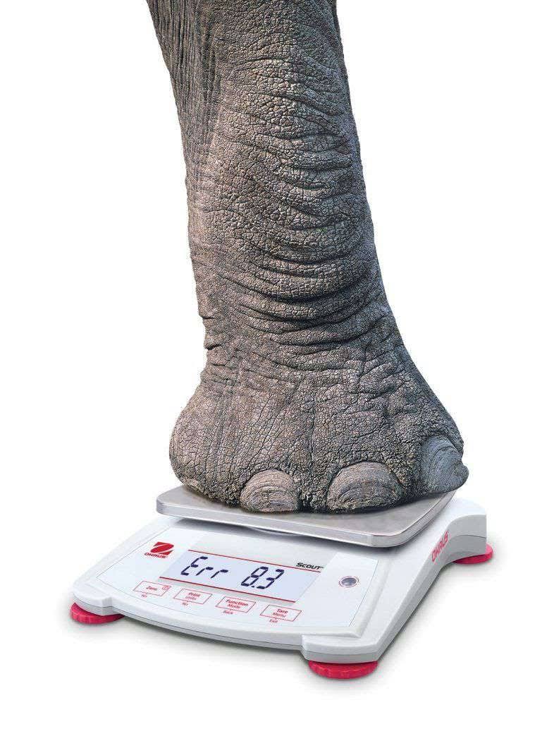 Portable Balance with LCD Screen, 620 G Capacity L1703