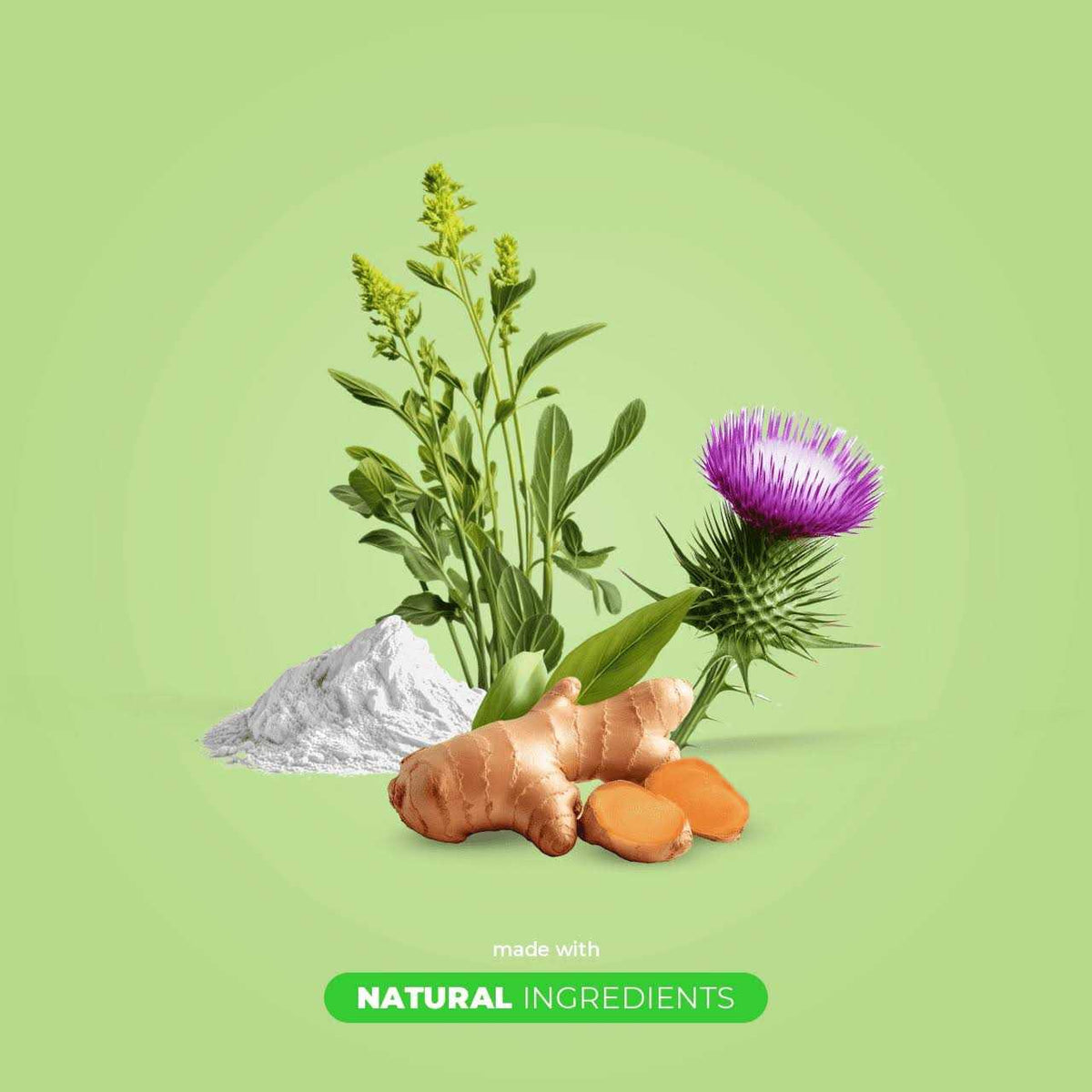 Milk Thistle for Dogs 90 Soft Chews Liver and Kidney Support V402810