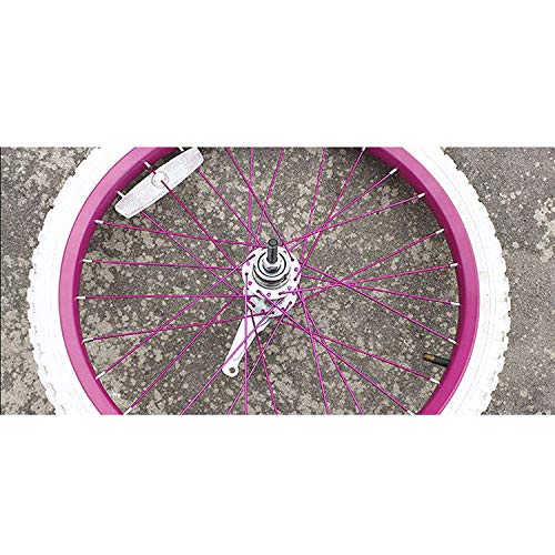 Bicycle Coaster Brake Rear Hub W250