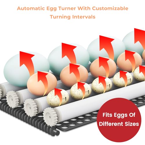 24 Incubator with Automatic Turner, Temperature and Humidity Display and Control E311