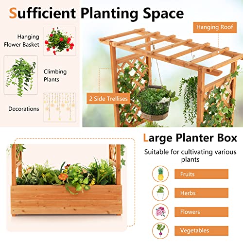 Raised Garden Bed with Arch Trellis Wood Planter Box K124
