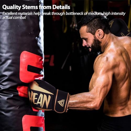 Boxing Training Gloves 10-16oz B625