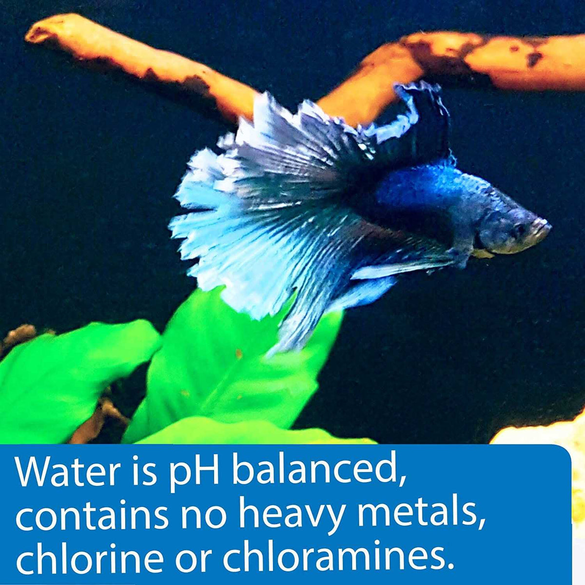 Betta Water E3428