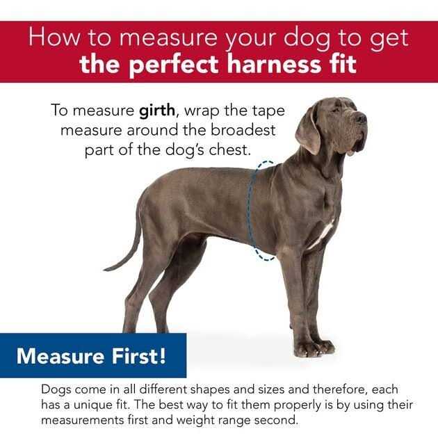 Adjustable Dog Harness Y909263