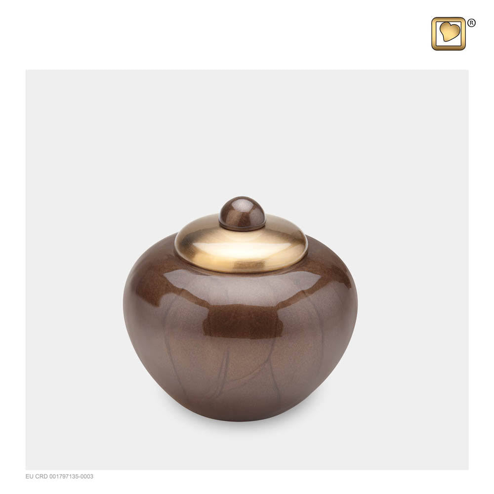 Bronze Finish Keepsake Cremation Urn X172