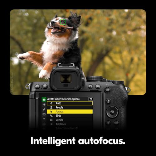 Compact Mirrorless Camera with Two Lenses D435