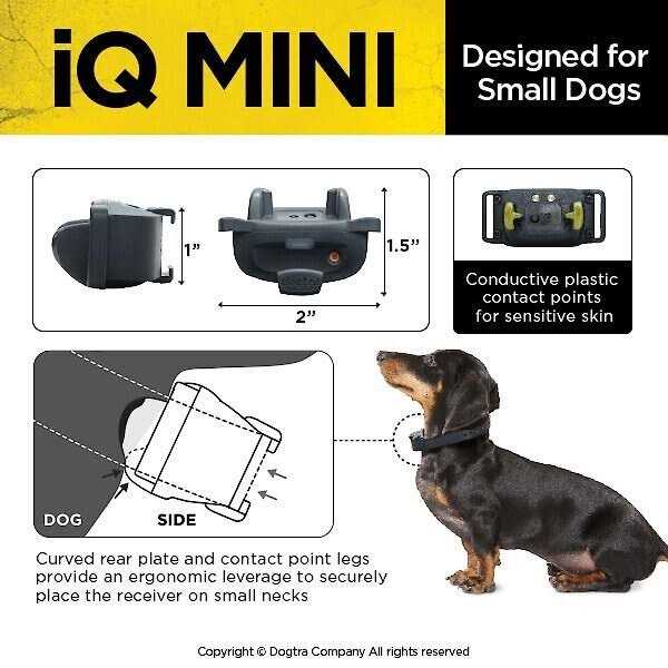 Dog Training Collar X3149