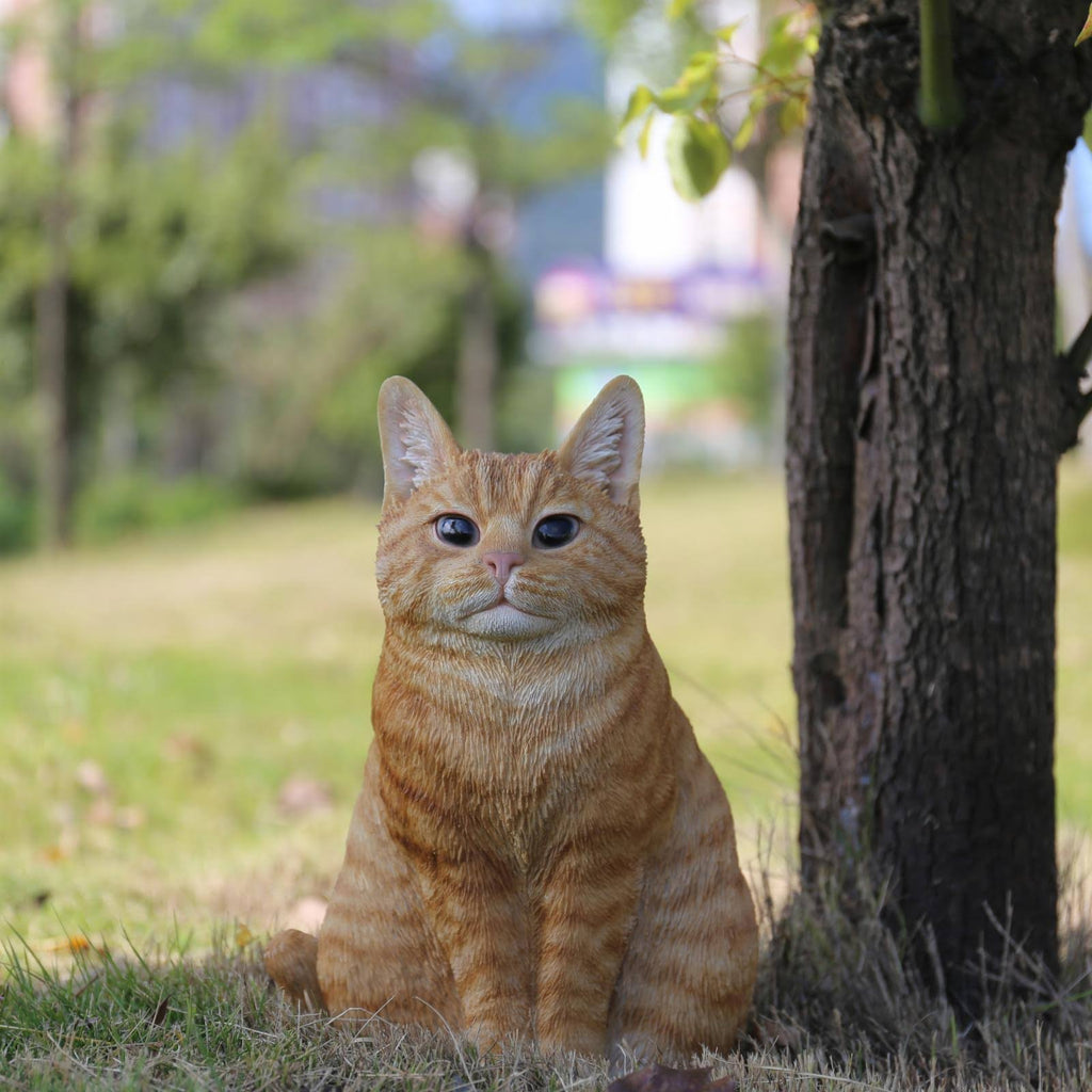 Orange Tabby Cat Sitting E52278