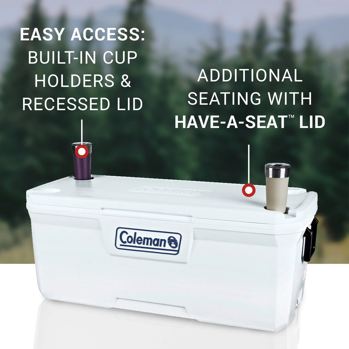 White Hard Sided Ice Chest Cooler D960