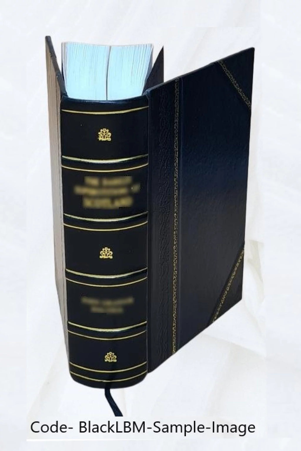 Clinical Surgery Leather Bound K31786