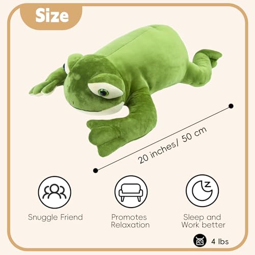 Weighted Plush Pillow X78075