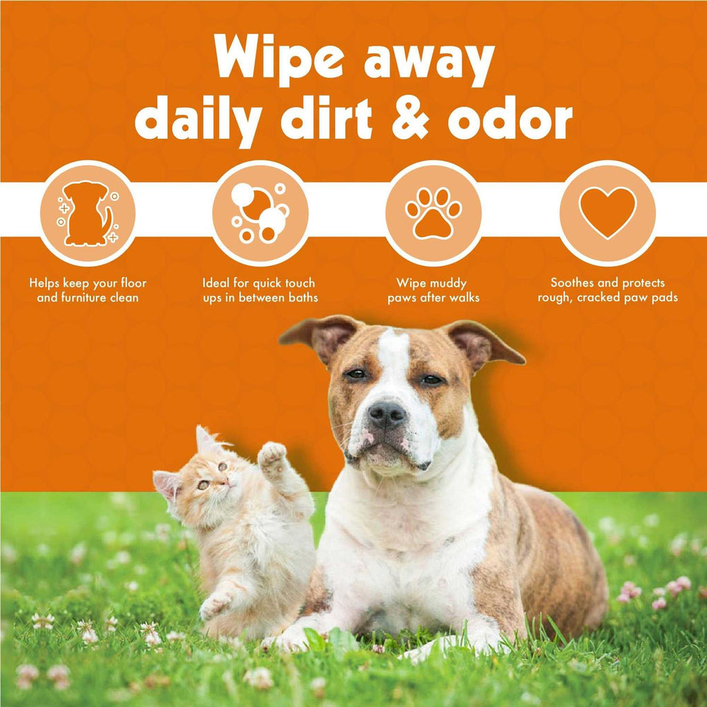 Pet Wipes V662684