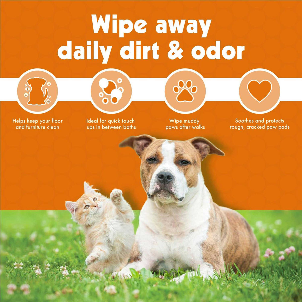 Pet Wipes V662684