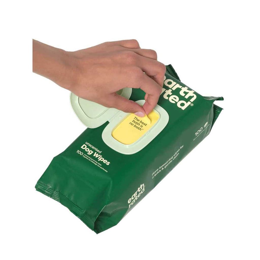 Dog Wipes V19938