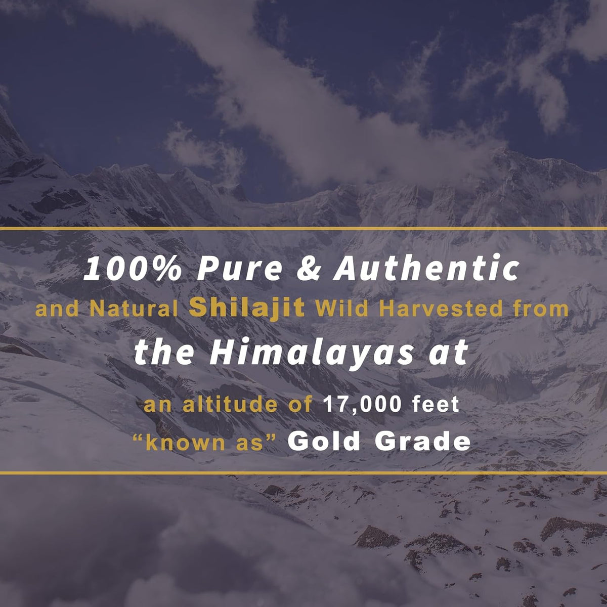 120 Shilajit Tablets, 1000mg each H100