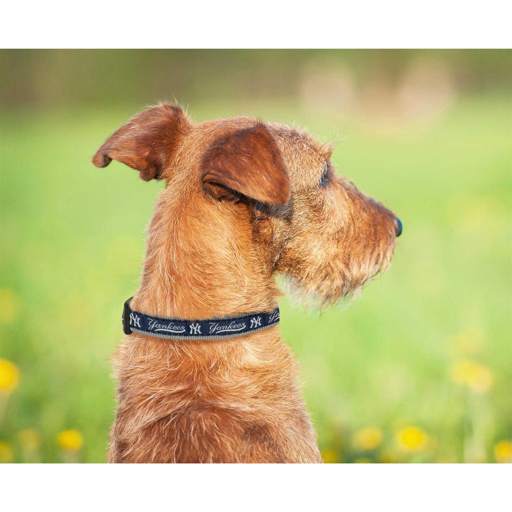 Dog Collar A777