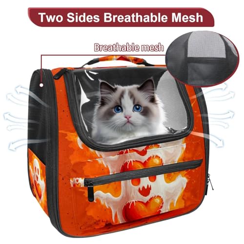 Halloween Pet Carrier Bag F643