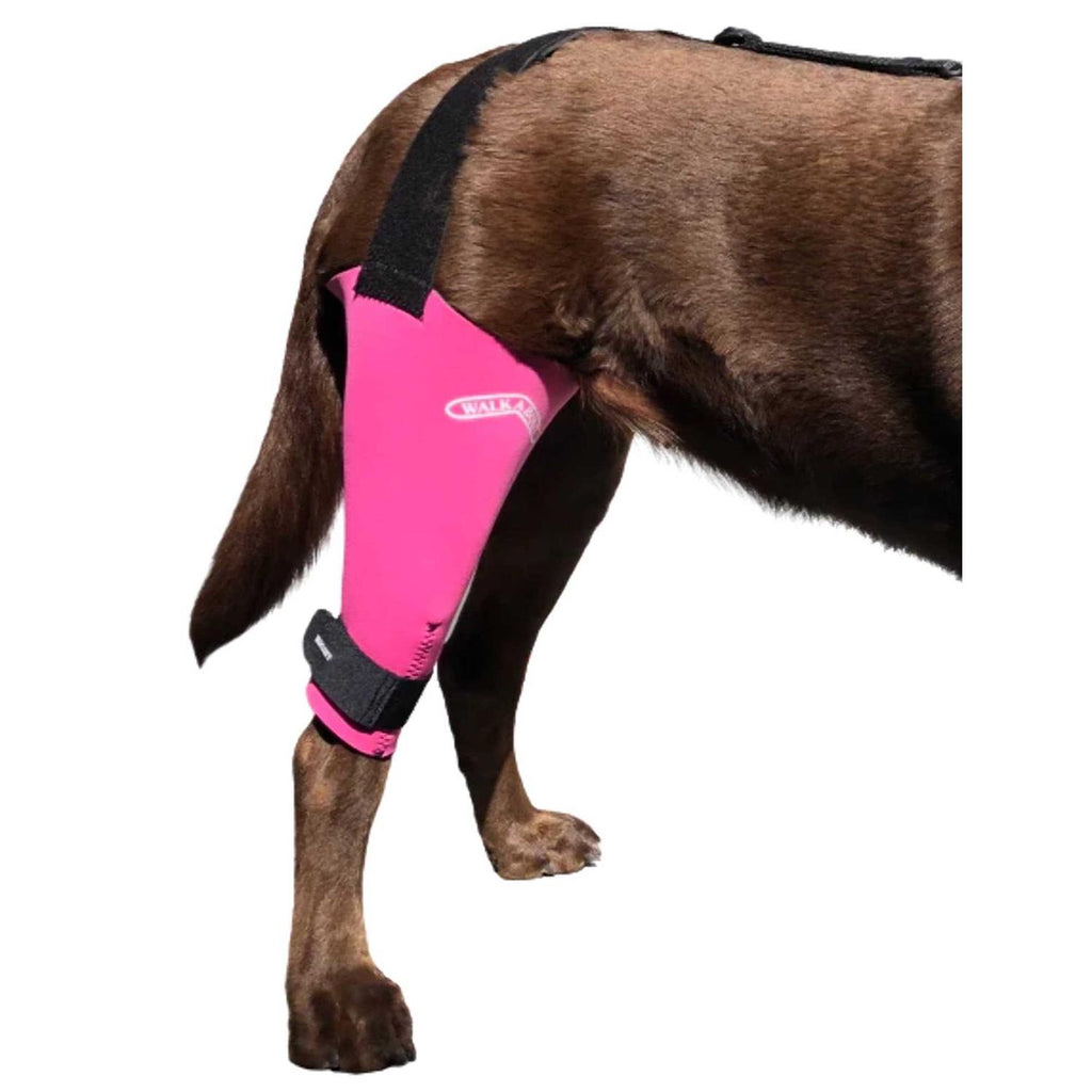 Dog & Cat Knee Brace C2291