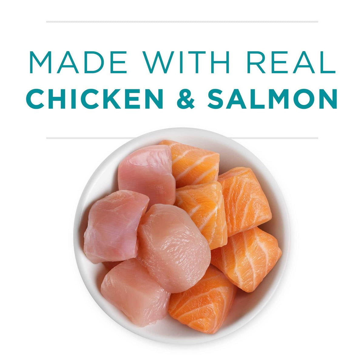 Chicken & Salmon Pate Wet Cat Food O101