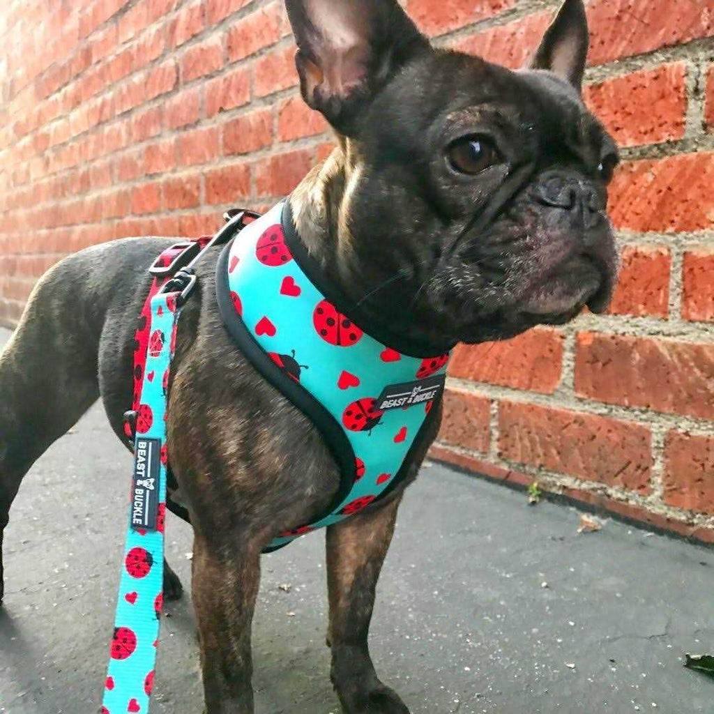 Reversible Dog Harness Z916497