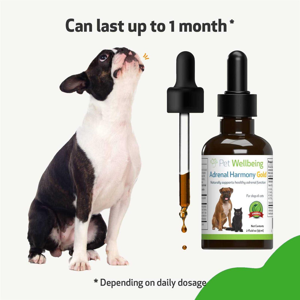 Adrenal Harmony Gold Dog Supplement U29626