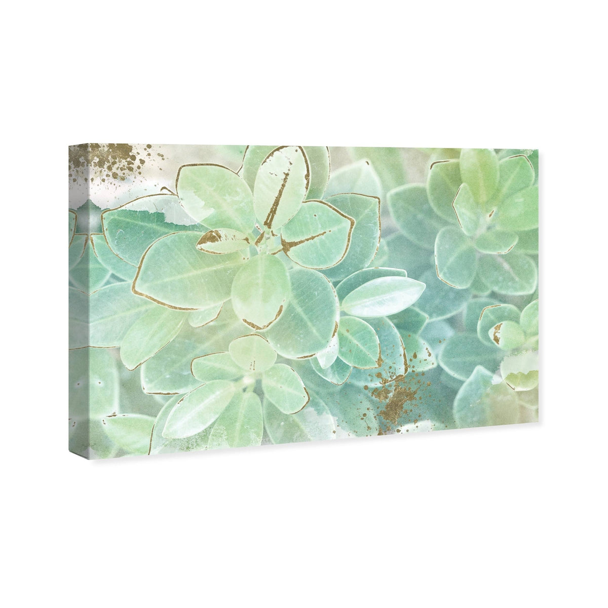 Soft Leaves Canvas Art, 60W x 40H, Green P78401