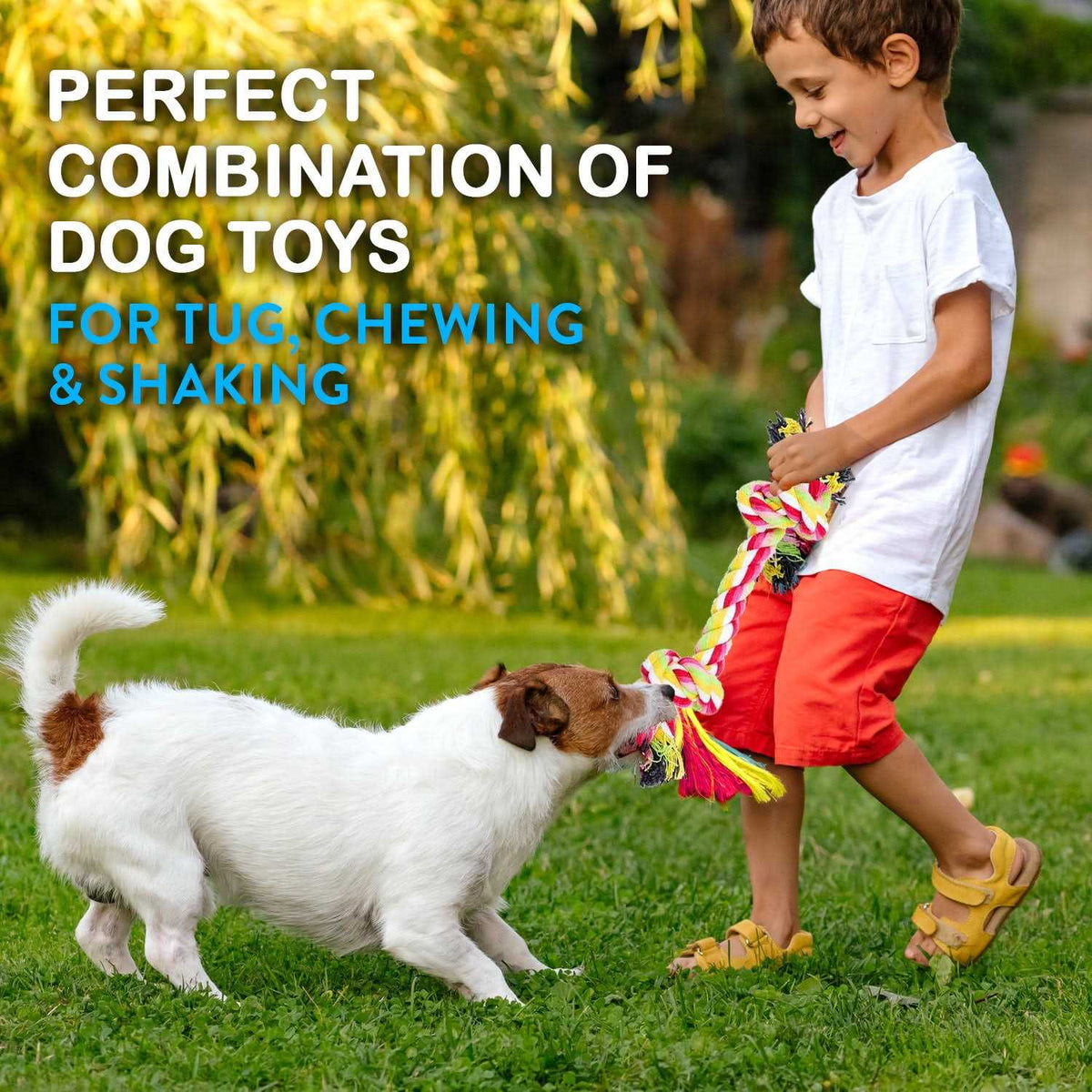 Dog Rope Toys Pack of 11 Teething Toys V48880