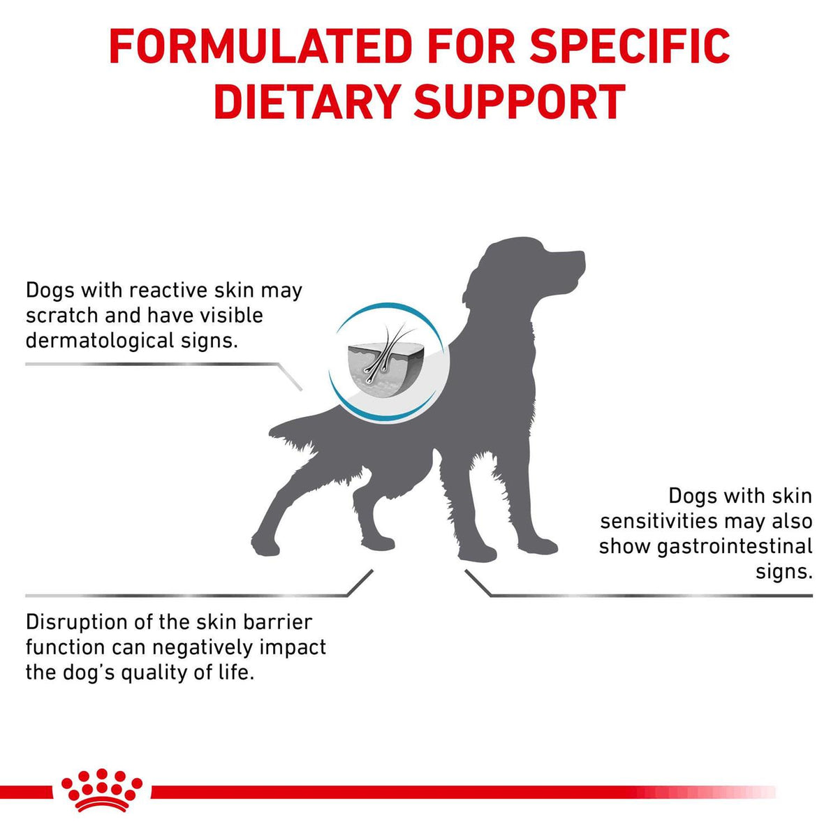 Veterinary Diet Skin Support Dry Dog Food Y302