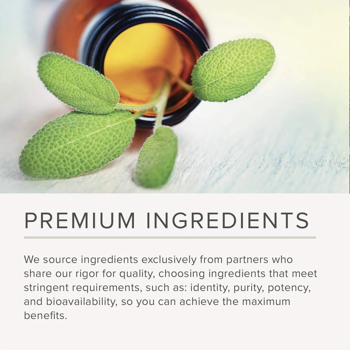 Saw Palmetto Extract 200 Capsules Gluten-Free Dietary Supplement O90100