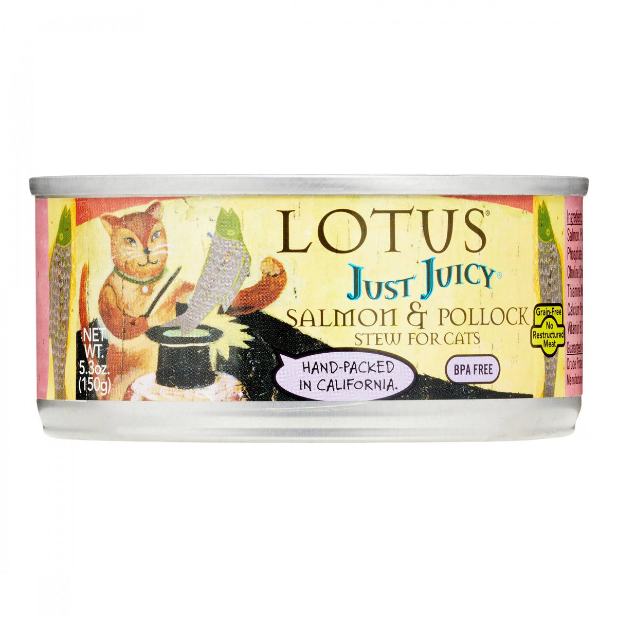 24 ct Wet Cat Food, Salmon & Pollock Stew A208914