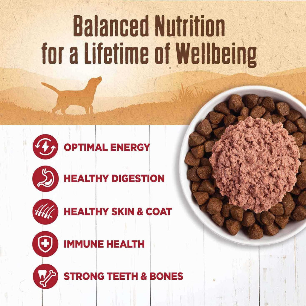 Dog Food Beef I538