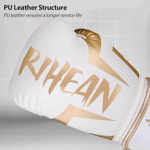 Boxing Training Gloves 10-16oz B625