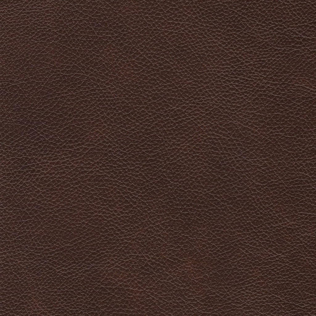 Brown Leather Sofa Z52964