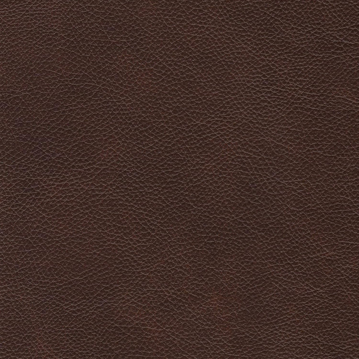 Brown Leather Sofa Z52964