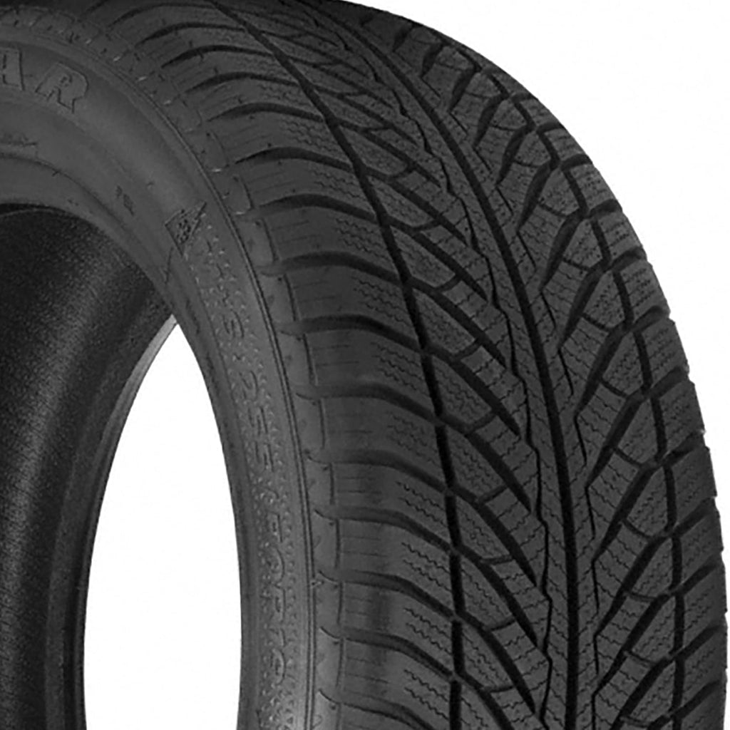 205/55R16 94H XL Winter Passenger Tire G6713