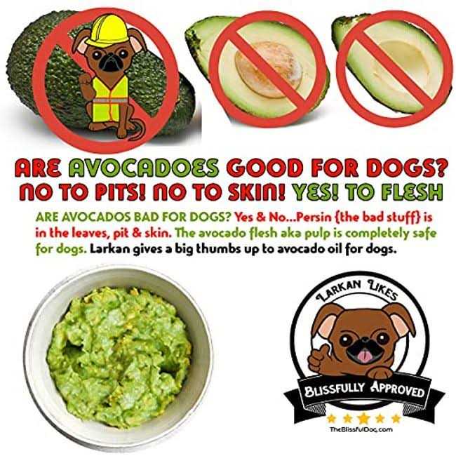 Bulldog Unscented Nose Butter H446